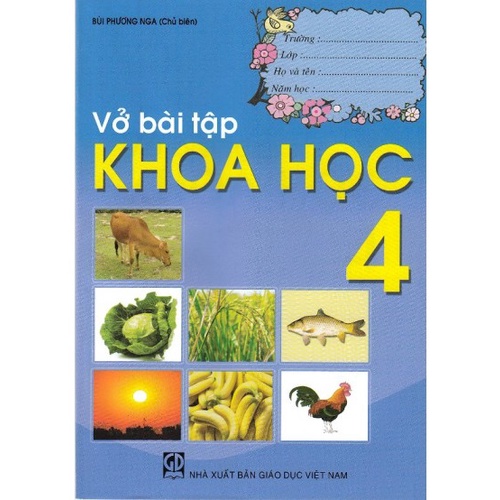 Sách Khoa học 4 (SGK+VBT) (Kèm 3 tập giấy thủ công 8 màu)