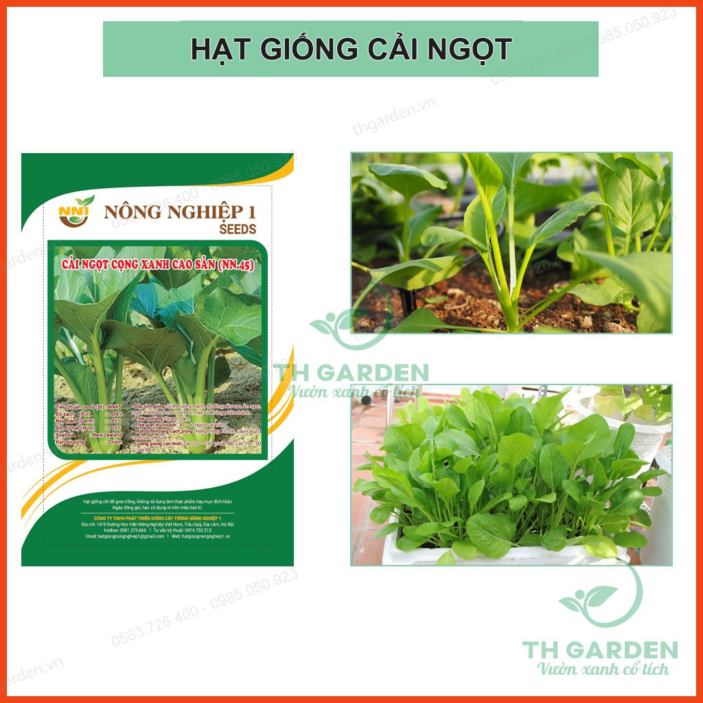 Hạt Giống Cải Ngọt Cọng Xanh Cao Sản, Thân Mập Dễ Trồng 20gram ~ 4000 Hạt - Học Viện Nông Nghiệp Việt Nam