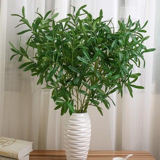 Cành oliu lá giả trang trí nhà cửa, decor nội thất xanh mát