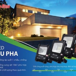 Đèn chiếu pha  Rạng Đông DCP06L / 50w