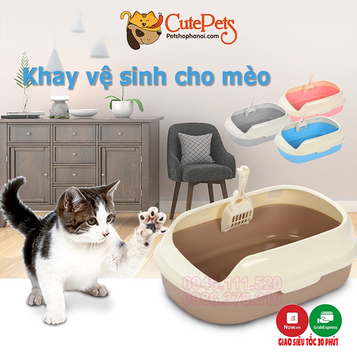 Khay đựng cát vệ sinh cho mèo hình trứng nhỏ 40x28x13cm CutePets Phụ kiện thú cưng Pet shop Hà Nội