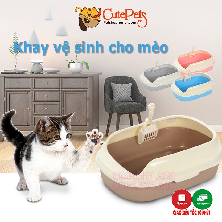 Khay vệ sinh cho mèo hình trứng nhỏ