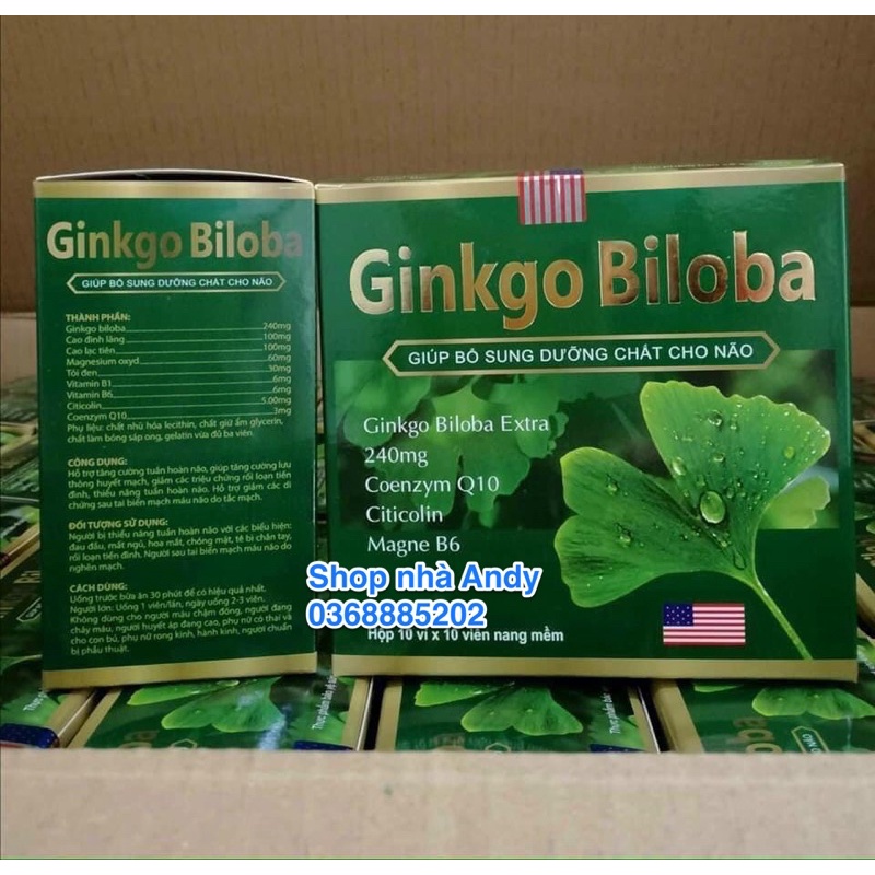 Bổ não Ginkgo Biloba 240mg, Bổ não 100 viên (Date mới nhất)
