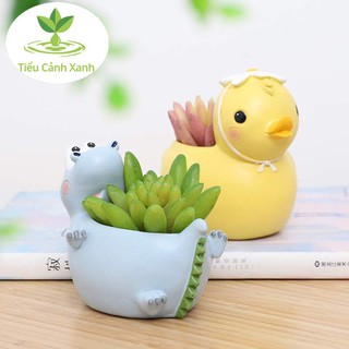 Chậu vịt đẹt trang trí