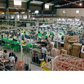 Quạt lửng Asia A16008 Mã thay thế VY538890 CS 55w