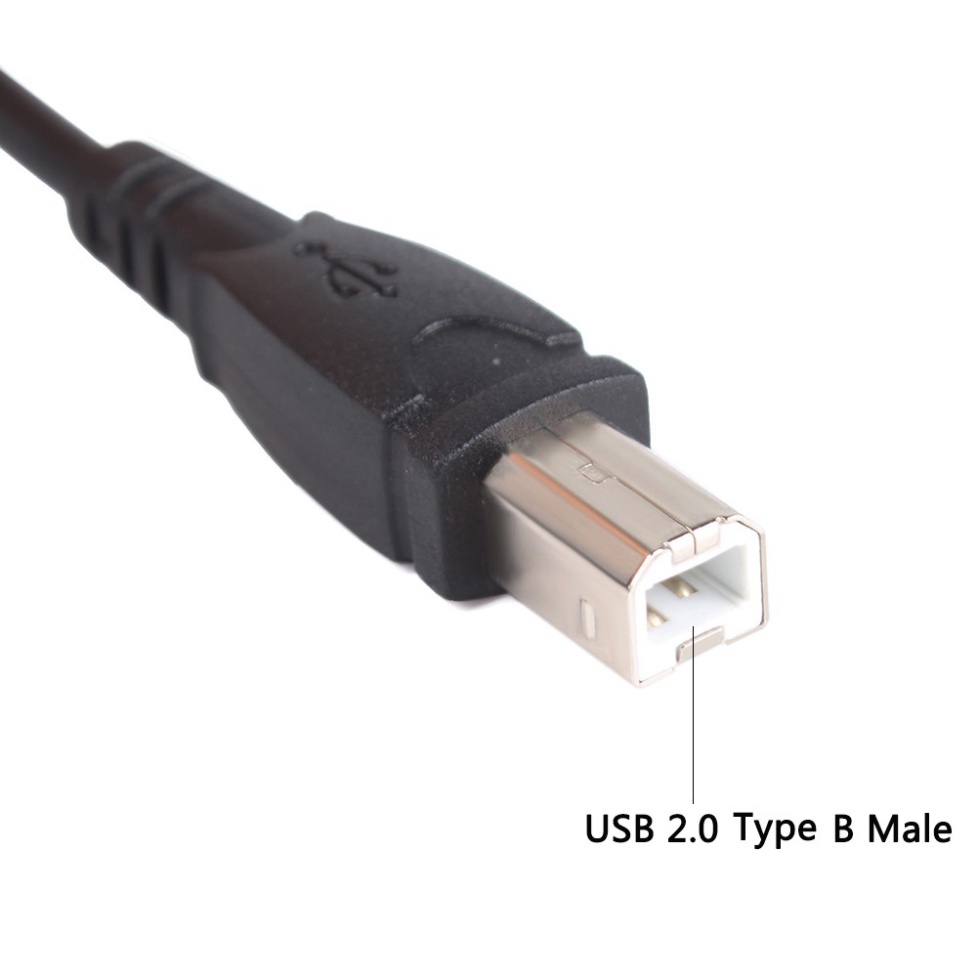 Giảm 70% Cáp Chuyển Đổi từ USB 2.0 Type A Sang USB B 50cm 1.5ft Cho Máy In, DEFAULT _Giá Gốc_ 39000 - 14K181