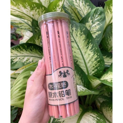 HỘP 50 CÂY BÚT CHÌ GỖ HB