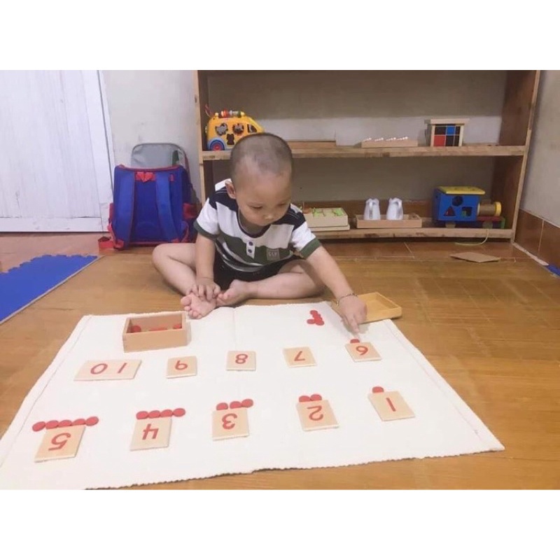 Chấm tròn và thẻ số montessori - bộ chẵn lẽ