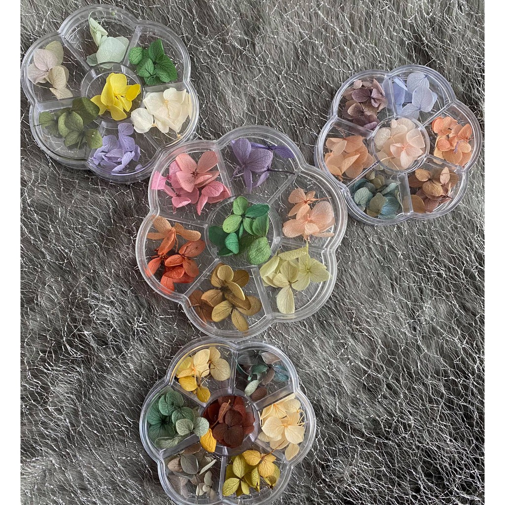 Hoa Khô Lụa Cánh To Ẩn Gel, Ẩn Bột - Phụ Kiện Trang Trí Móng Nail Art - Lẻ 1 hộp