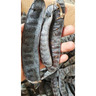 bồ kết dé khô