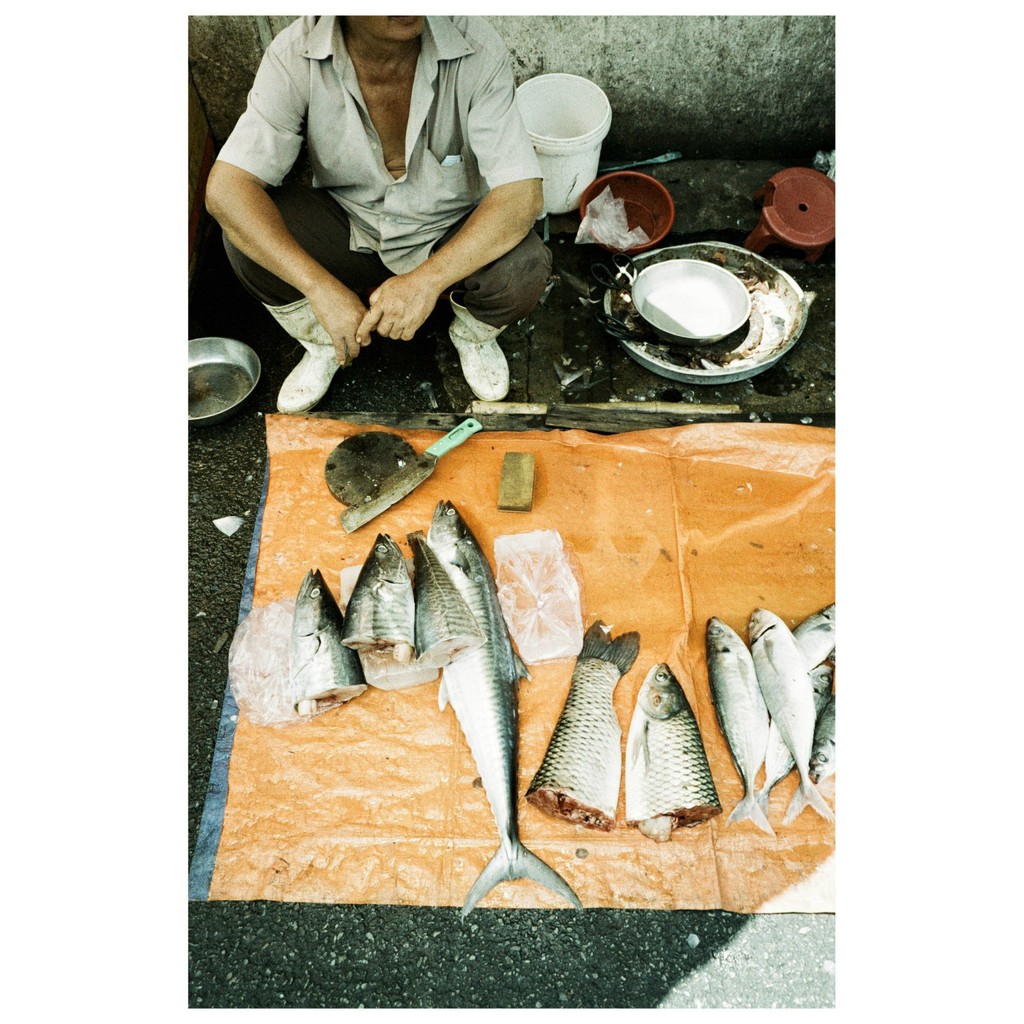 Film màu Lomography  ISO từ 100-400