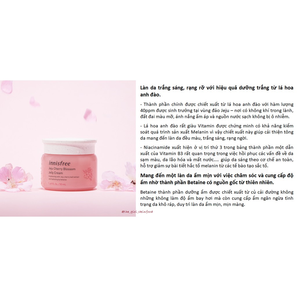 KEM DƯỠNG ẨM DẠNG GEL INNISFREE JEJU CHERRY BLOSSOM JELLY CREAM 50ML