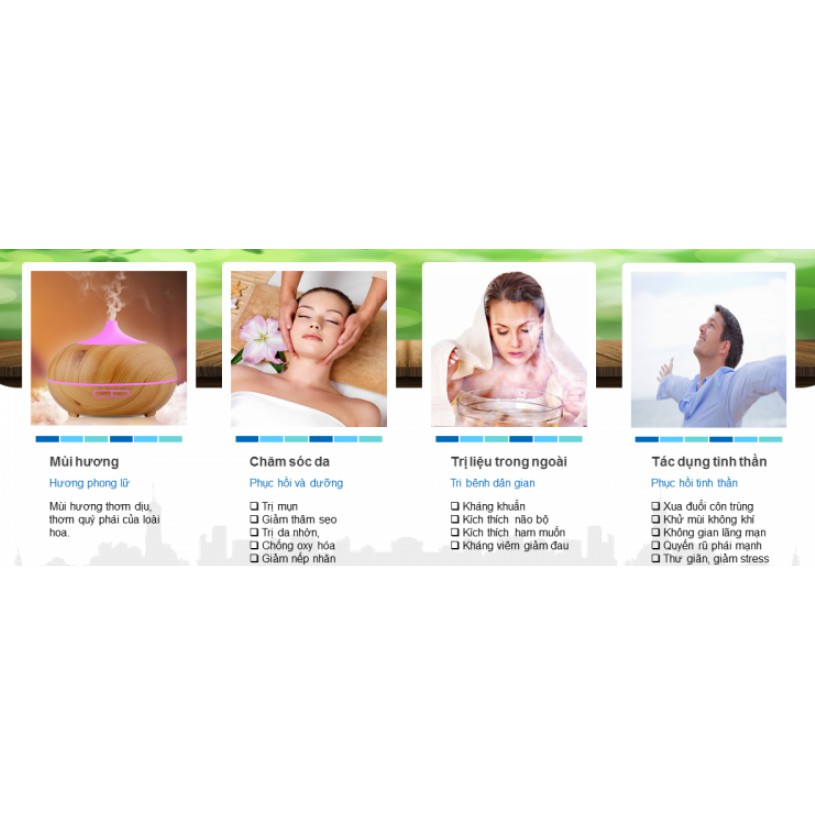 Tinh dầu phong lữ plus 20ml – Geranium EO nguyên chất thiên nhiên Ấn Độ – Quyến rũ, thanh lịch | BigBuy360 - bigbuy360.vn