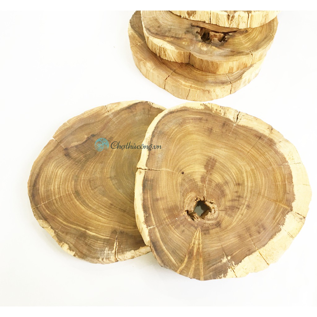 Khoanh gỗ lũa size to gỗ me tây / bình linh dùng trang trí, decor vintage, chụp ảnh KT 18-25cm (dày 2.5-3cm)