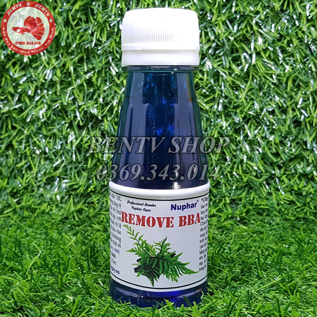 REMOVE BBA - Phòng Và Diệt Rêu Hại Trong Hồ Thủy Sinh