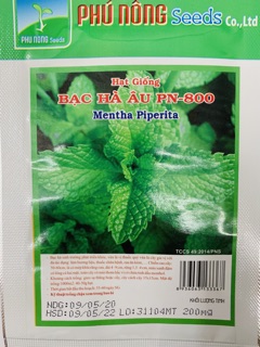Hạt giống bạc hà