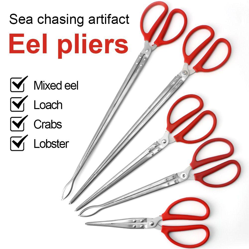 Kẹp Bắt Cua Biển Bằng Thép Không Gỉ