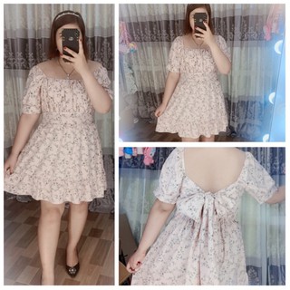 Đầm thắt nơ to sau lưng 60-90kg