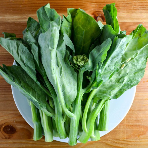 5gr - HẠT GIỐNG RAU CẢI RỔ