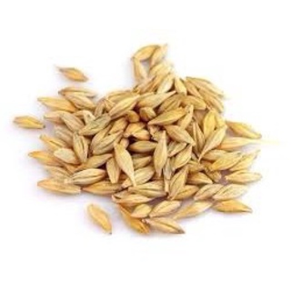 MẠCH NHA( lúa mạch) loại 1(mới, đều hạt,đã sao) [500g]