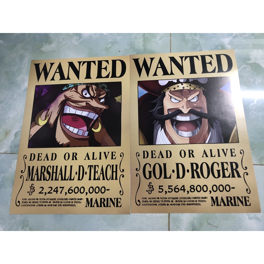 Poster truy nã anime Onepiece 42*29cm