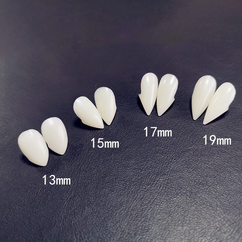 Răng nanh cao cấp 13mm 15mm 17mm kèm keo dán | BigBuy360 - bigbuy360.vn