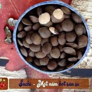 Hạt Sachi Đắc Lắc