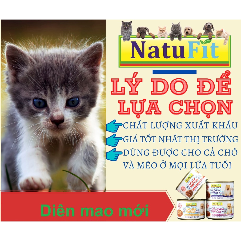 Pate mèo NatuFit 160g ️ FREESHIP ️ thức ăn mèo Pate ướt 6 vị xuất Nhật bổ sung dưỡng chất cho mèo các lứa tuổi,kén ăn
