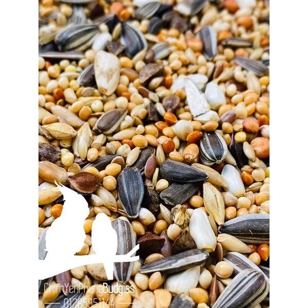 500g thức ăn hạt hỗn hợp cho Vẹt: Lovebird, Cockatiel, Parrotlet...