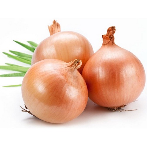 Hạt giống Hành Củ Yellow Texas Grano