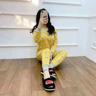 Đồ bộ nỉ bông nữ lót lông dày dặn