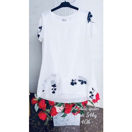 Áo vin dáng dấu quần