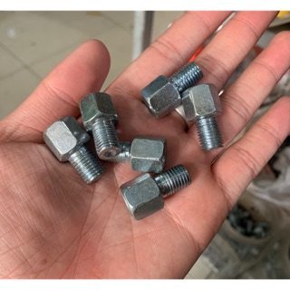 Ốc Độn Chân Kính ( Giá 1 Chiếc )