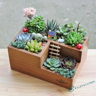 Khay gỗ trồng sen đá kiểu dáng cổ điển