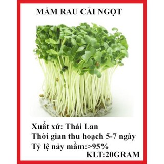 20 gram hạt giống mầm rau cải ngọt