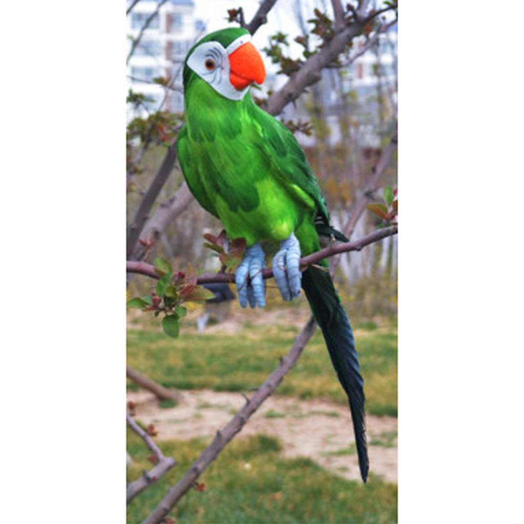 Chim vẹt giả cỡ lớn 45cm dùng trang trí sân vườn