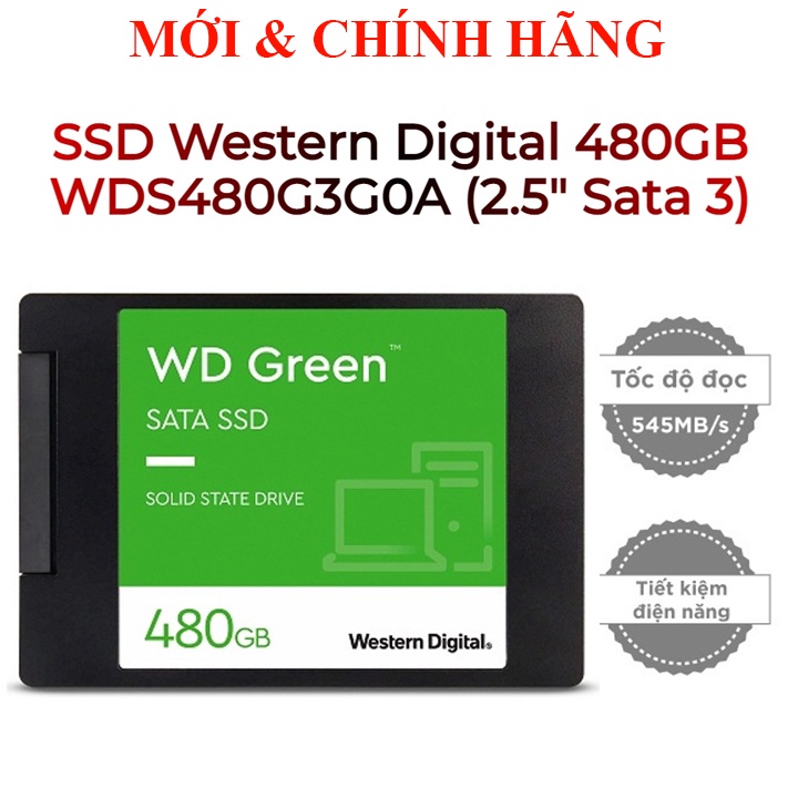 Ổ cứng SSD Western Digital Green Sata III WD 240GB 480GB, Pioneer 512GB