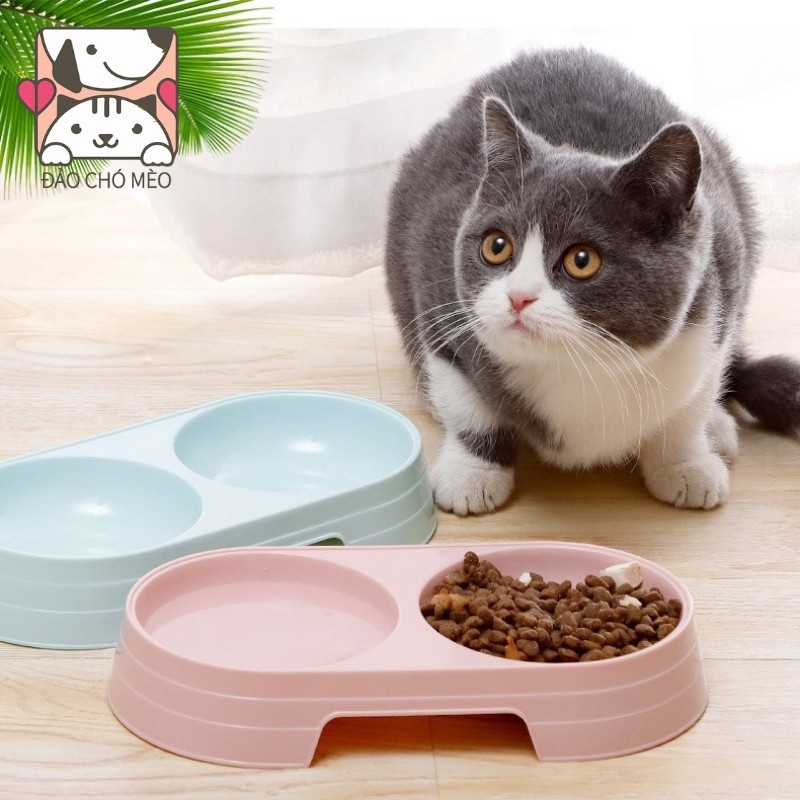 Bát ăn đôi nhựa đựng thức ăn và nước uống cho mèo, đế chống trượt cao cấp - Đảo Chó Mèo