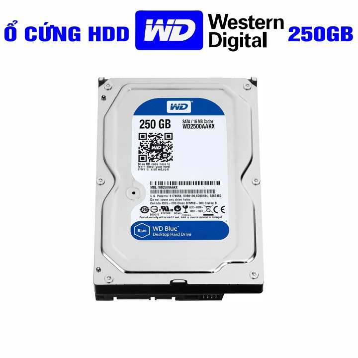 Ổ cứng PC 3.5” Western Digital 250GB - Chính Hãng - Tháo máy đồng bộ mới 99% - Bảo hành 3 tháng - HDD WD xanh