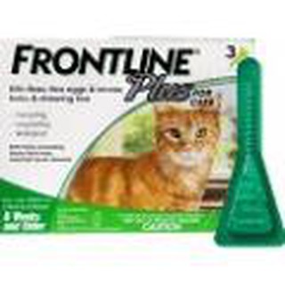Thuốc nhỏ gáy phòng và trị ve rận bọ chét cho mèo frontline plus for cats
