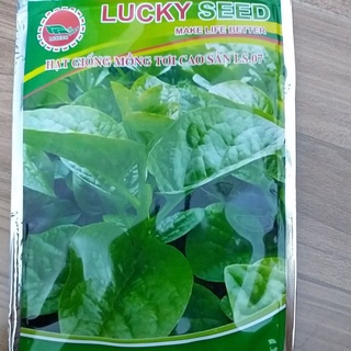 Hạt giống mồng tơi cao sản