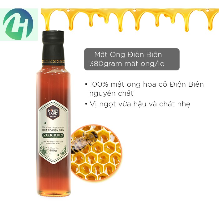 [HONEY LAND]_4 chai Mật ong rừng Thảo Dược (380g)+ 2 chai Mật ong Điện Biên(380g)+1 hũ Omega369 pineneedleoil (30v)