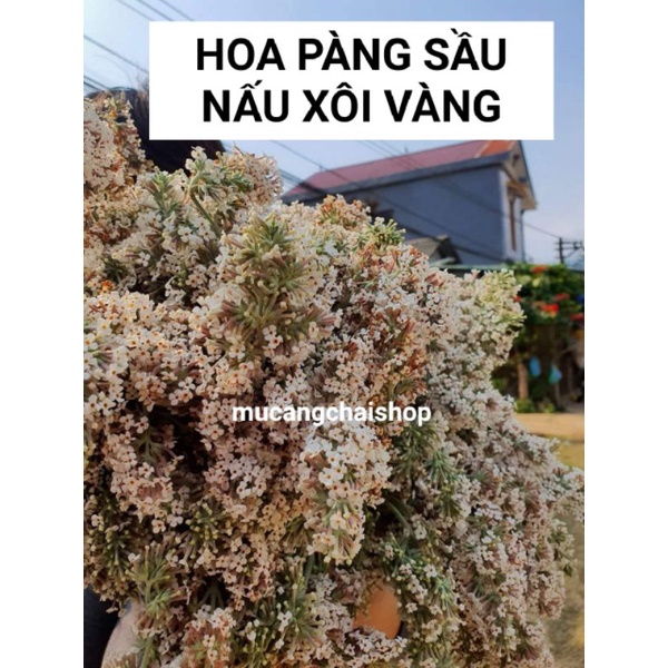 Hoa mật mông  nấu xôi màu vàng túi 100g