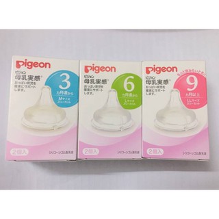 Núm ti Pigeon đủ size