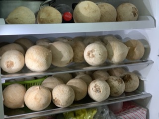 Dừa Xiêm Trọc Bến Tre