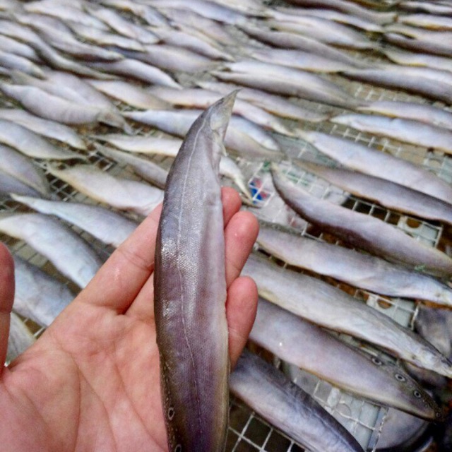 1kg Khô Cá Chạch thơm ngọt hấp dẫn chất lượng 200gr 500gr Khô Cá Chạch- Vựa Khô Minh Triết