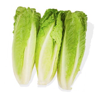 2gram HẠT GIỐNG XÀ LÁCH ROMAINE
