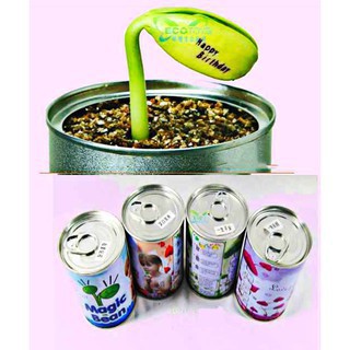 HẠT GIỐNG HẠT ĐẬU THẦN KỲ-- rẻ lắm