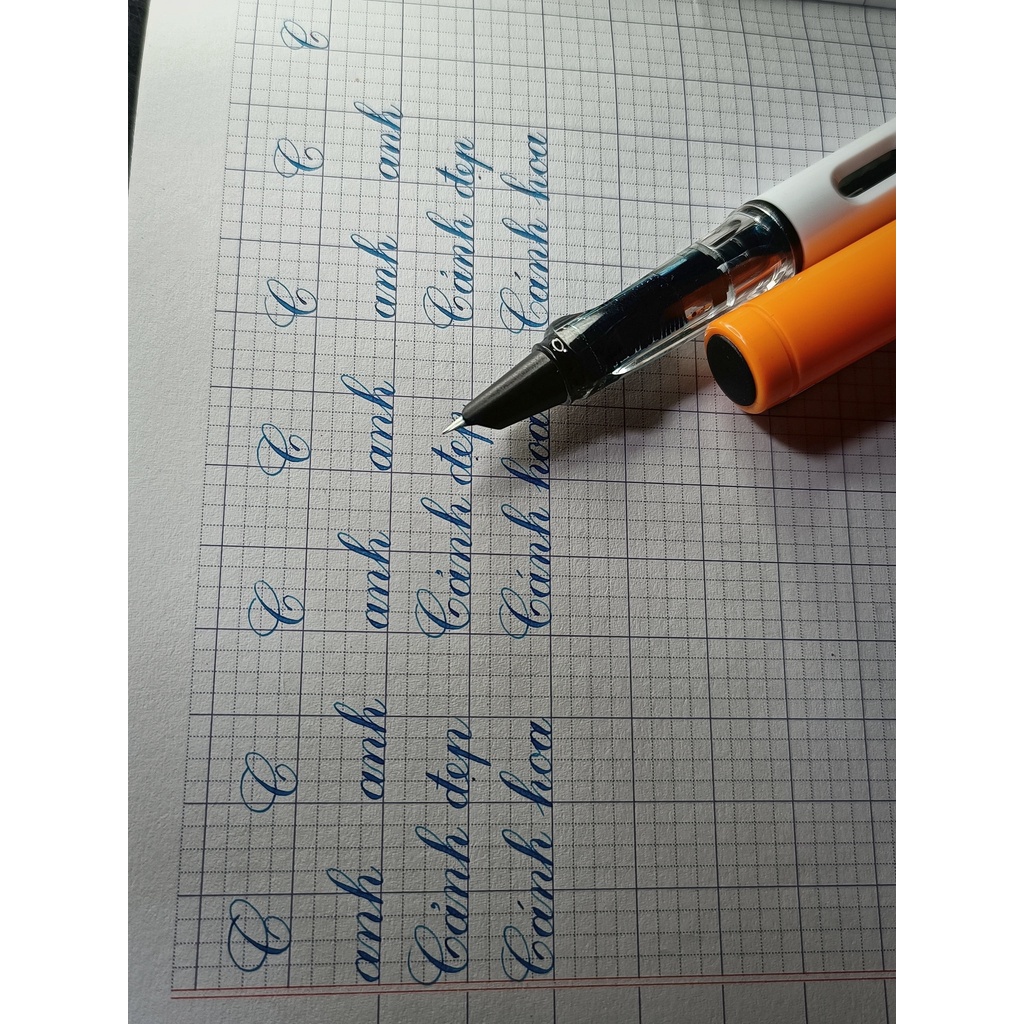 Bút Leta 368  VỎ CẦU VỒNG HOẶC VỎ NHỰA TRẮNG(1 chiếc bút ngòi kim tinh lá tre tự tạo thanh đậm)
