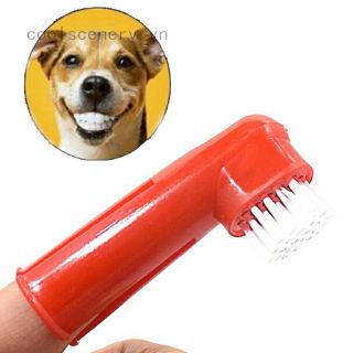 Bàn chải đánh răng cho thú cưng